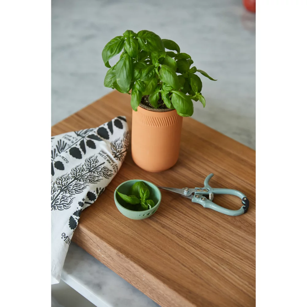 Ensemble cadeau de culture gastronomique Modern Sprout® - Terre cuite