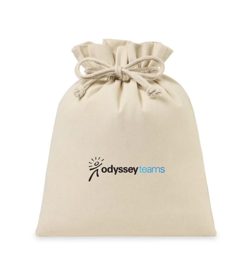Eco-conscious Canvas Drawstring Gift Bag - Large - Natural