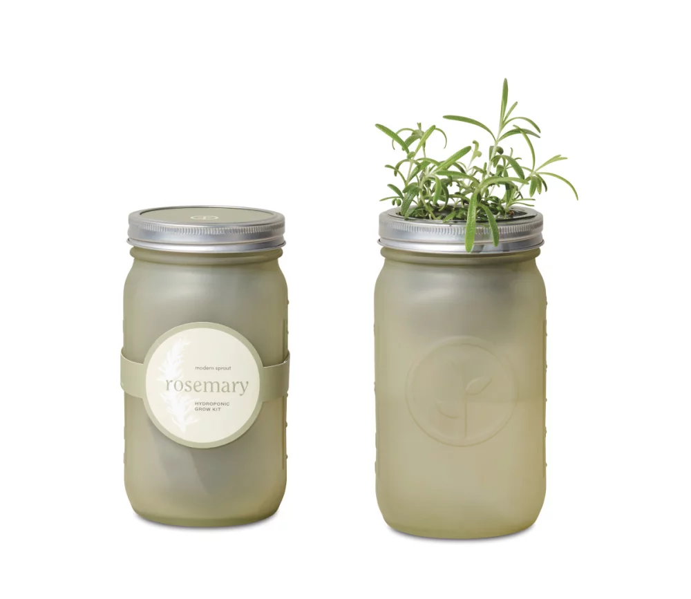 Modern Sprout® Indoor Herb Garden Kit - Rosemary