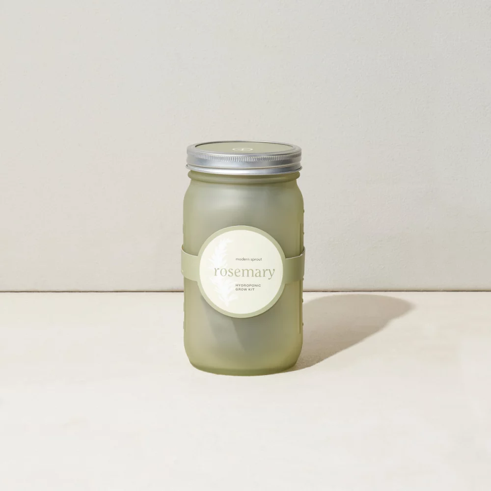 Modern Sprout® Indoor Herb Garden Kit - Rosemary