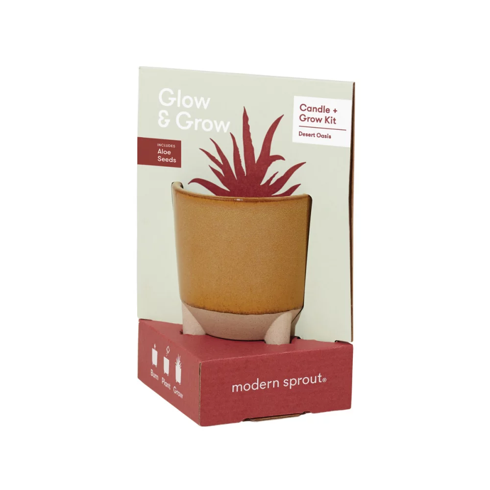 Modern Sprout® Glow & Grow Live Well Gift Set - Amber: Desert Oasis w- Aloe Seeds