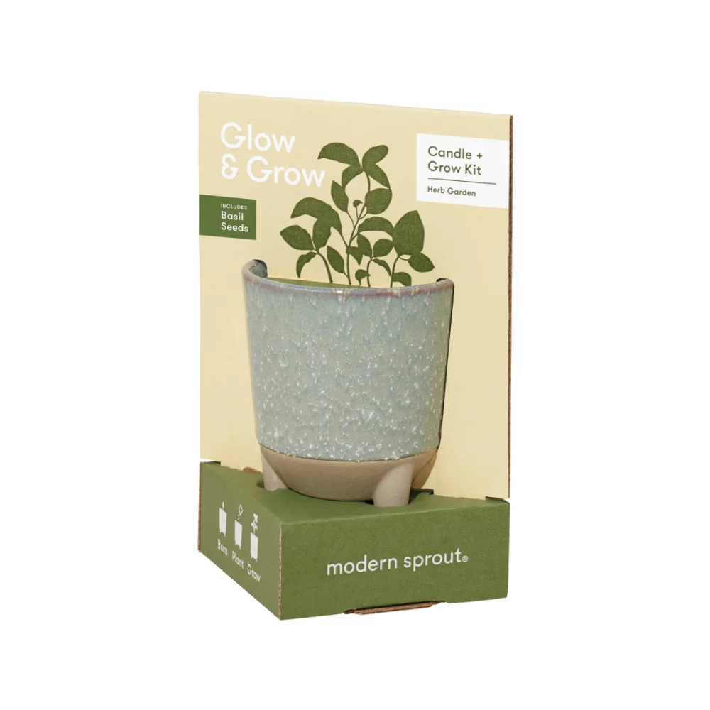 Modern Sprout® Glow & Grow Live Well Gift Set - Blue Green: Herb Garden w- Basil Seeds