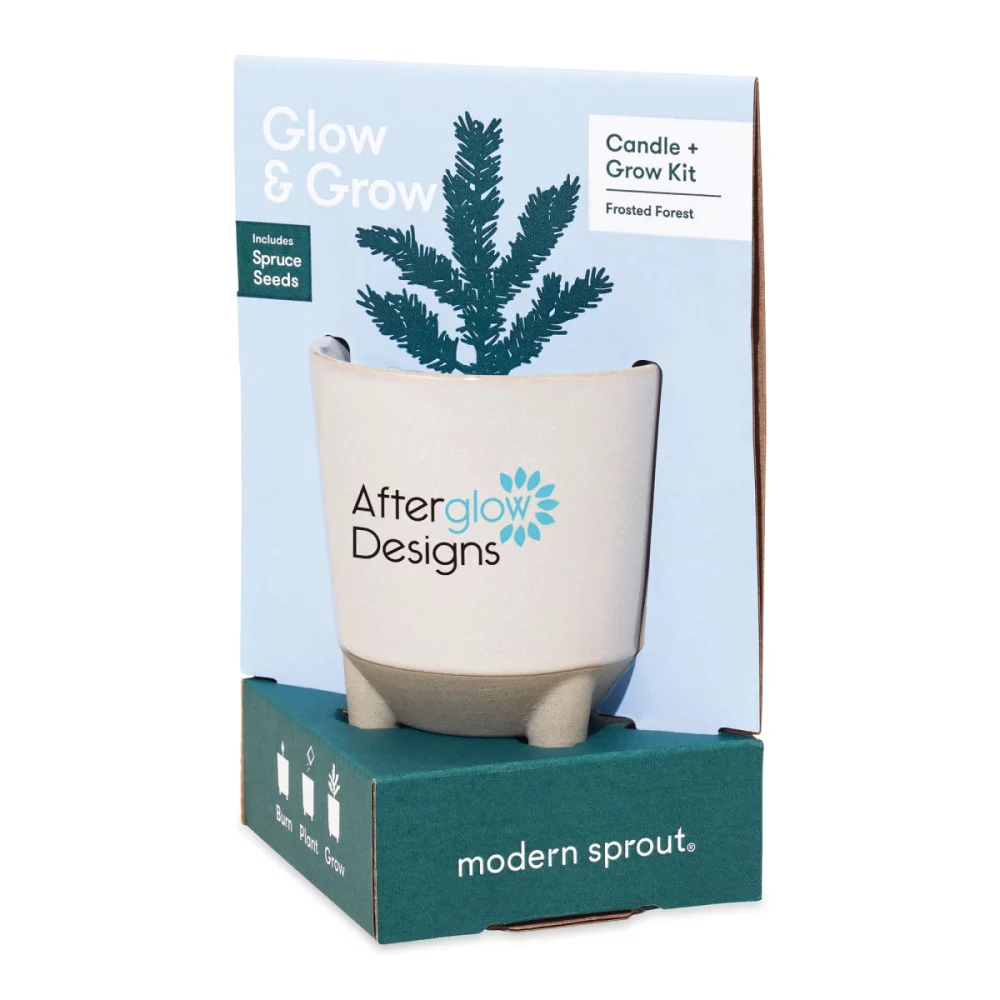 Modern Sprout® Glow & Grow Live Well Gift Set - Ice Blue: Frosted Forest w-Spruce Seeds