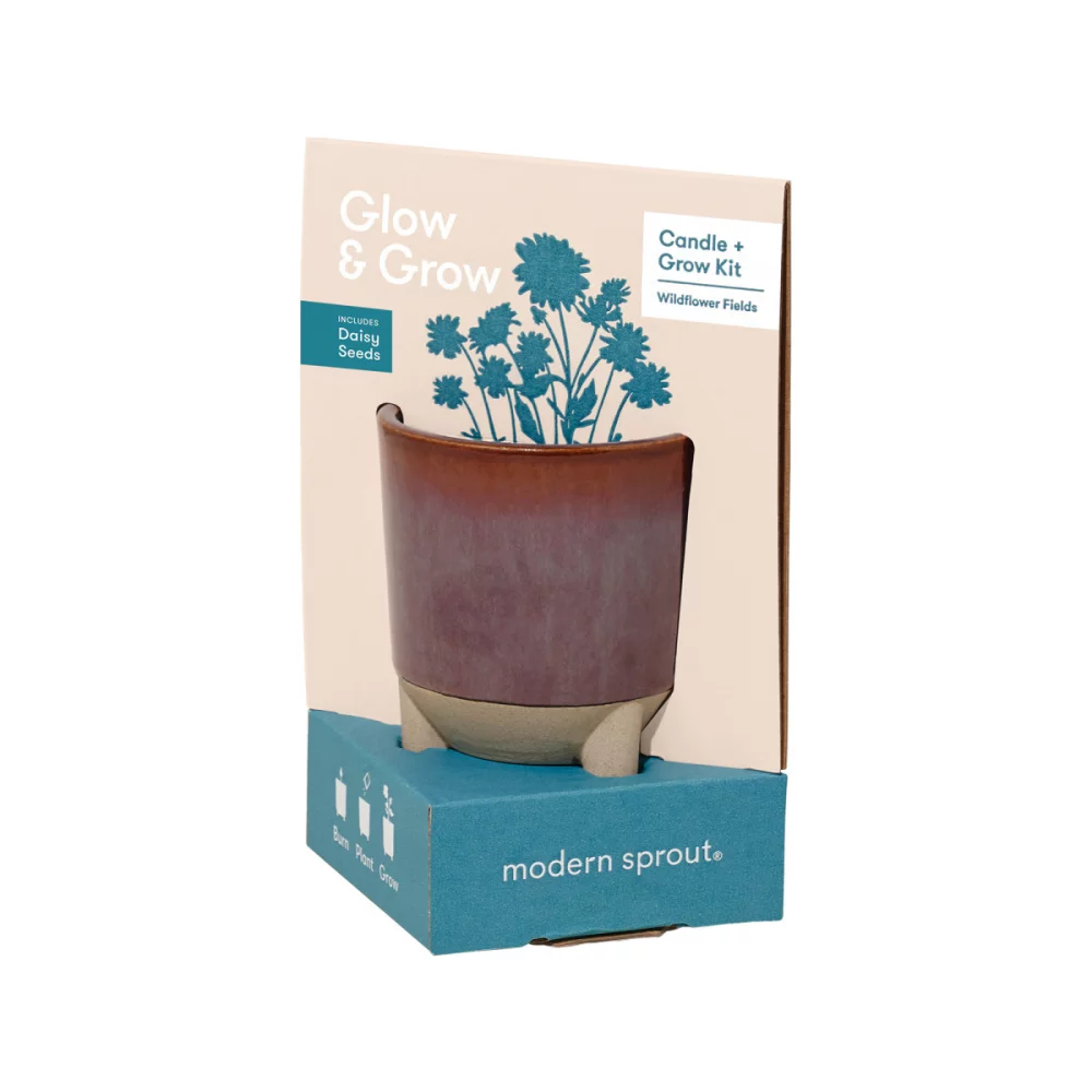 Ensemble cadeau Glow & Grow Live Well de Modern Sprout® - Bourgogne : Graines de marguerites avec fleurs sauvages