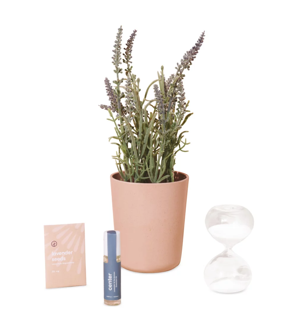 Modern Sprout® Seek Peace Take Care Kit - Lavender - Seek Peace