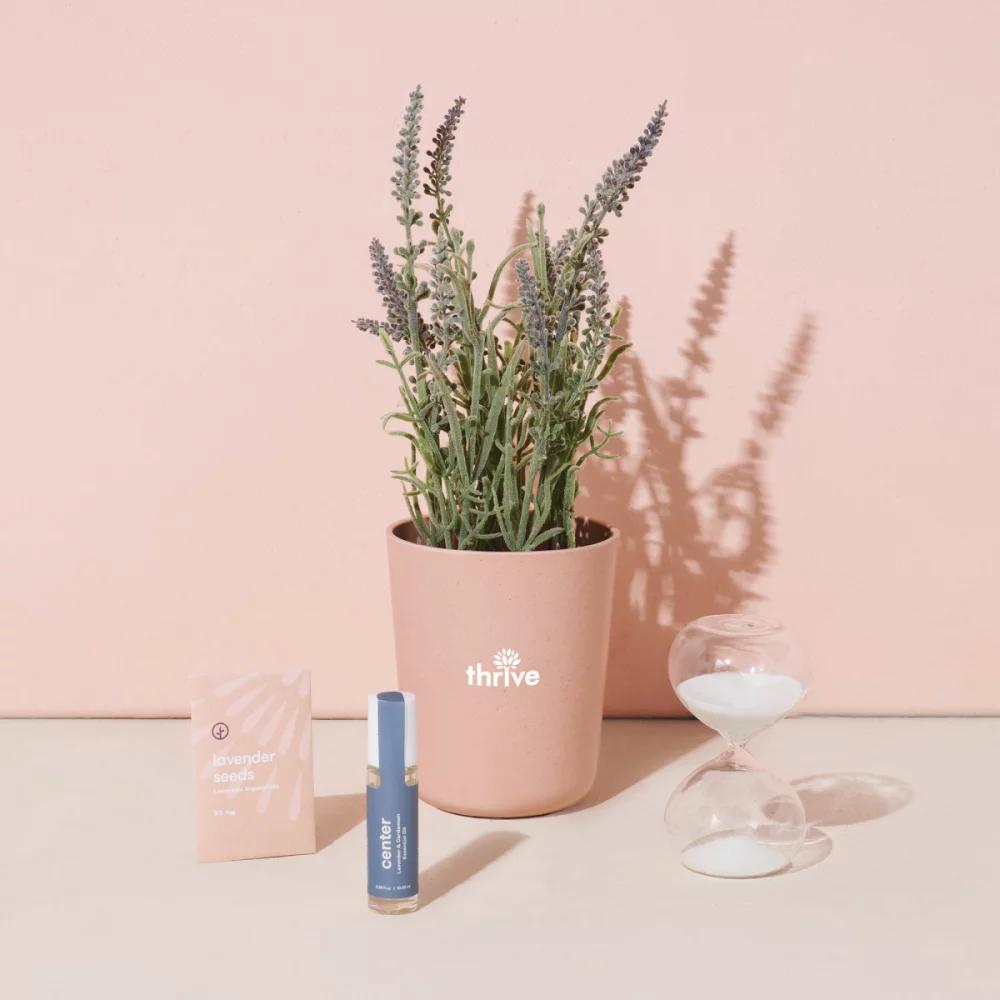 Modern Sprout® Seek Peace Take Care Kit - Lavender - Seek Peace