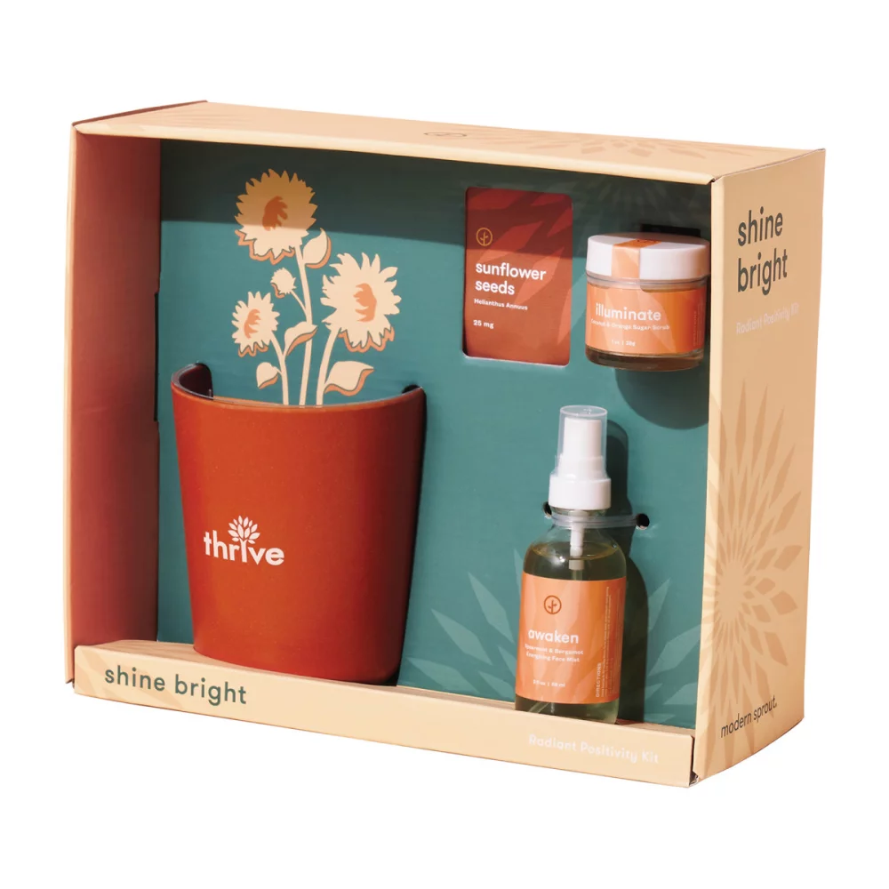 Modern Sprout® Shine Bright Take Care Kit - Sunflower - Shine Bright Sunflower
