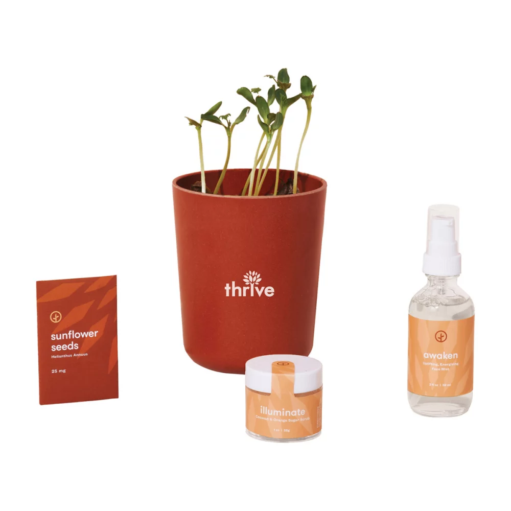 Ensemble de soins Shine Bright Take Care de Modern Sprout® - Tournesol - Tournesol Shine Bright