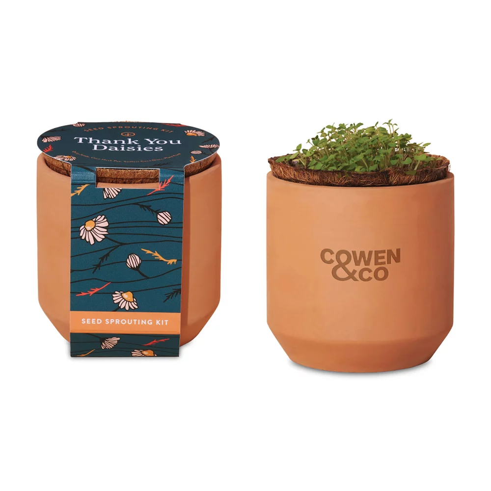 Kit de culture en terre cuite Tiny Terracotta Grow de Modern Sprout® Merci Marguerites - Terre cuite