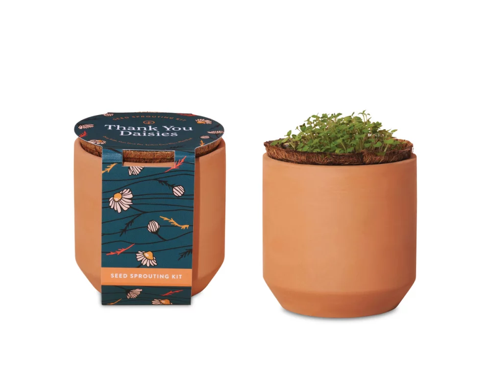 Kit de culture en terre cuite Tiny Terracotta Grow de Modern Sprout® Merci Marguerites - Terre cuite