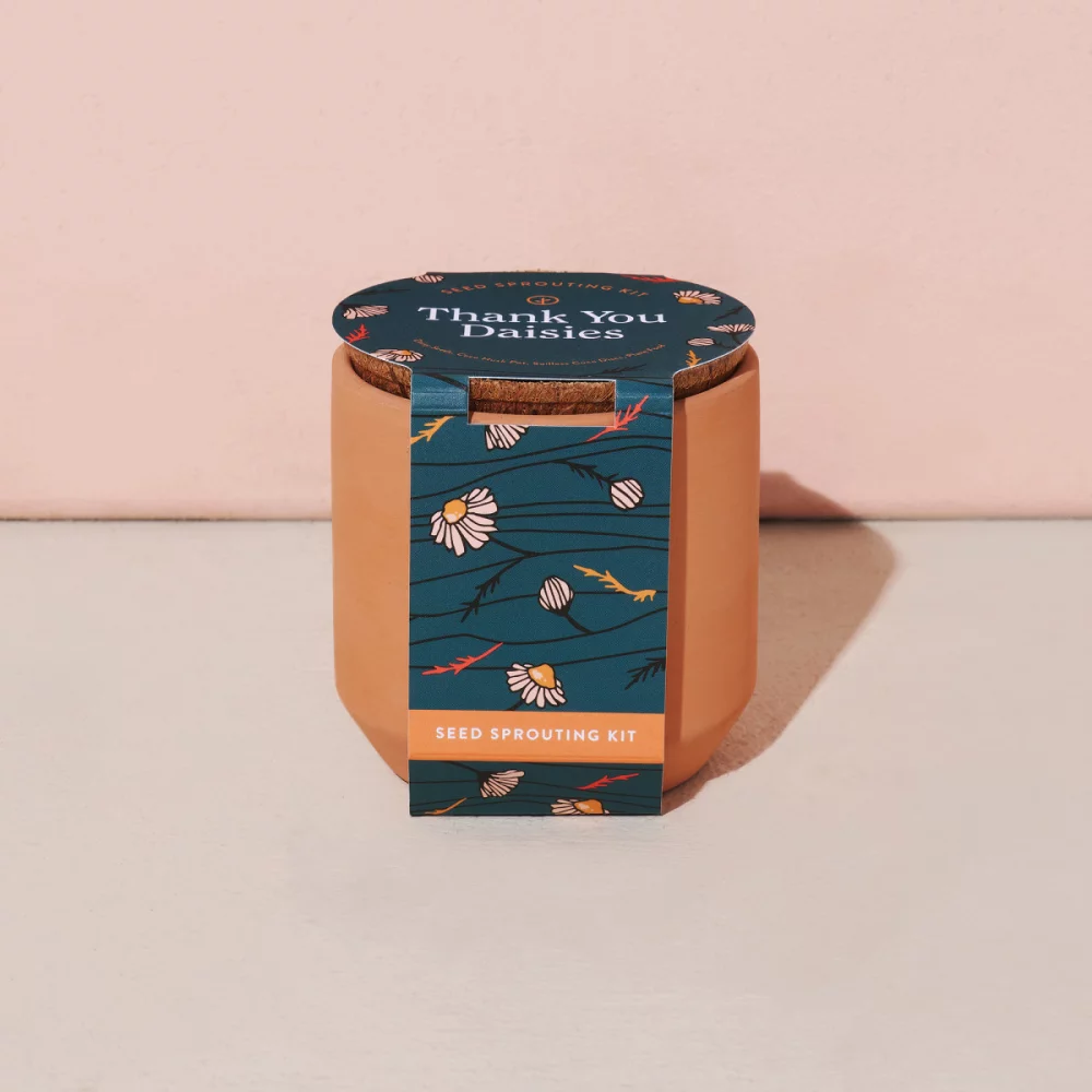 Kit de culture en terre cuite Tiny Terracotta Grow de Modern Sprout® Merci Marguerites - Terre cuite