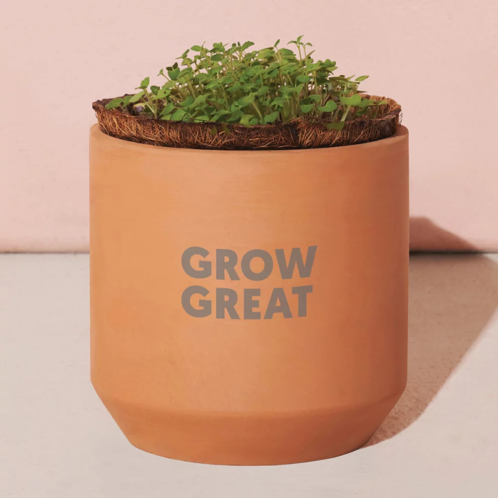 Kit de culture en terre cuite Tiny Terracotta Grow de Modern Sprout® Merci Marguerites - Terre cuite