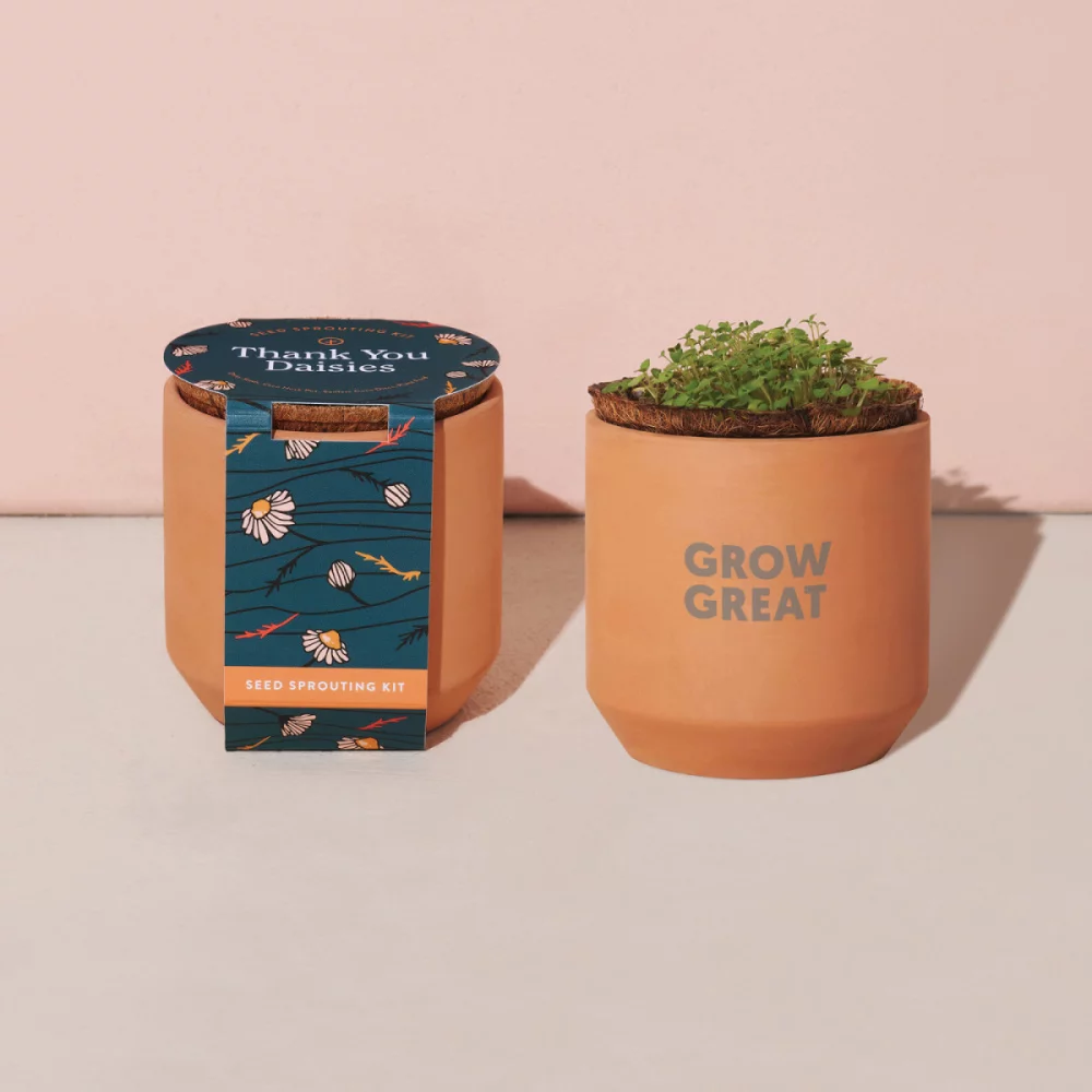 Kit de culture en terre cuite Tiny Terracotta Grow de Modern Sprout® Merci Marguerites - Terre cuite
