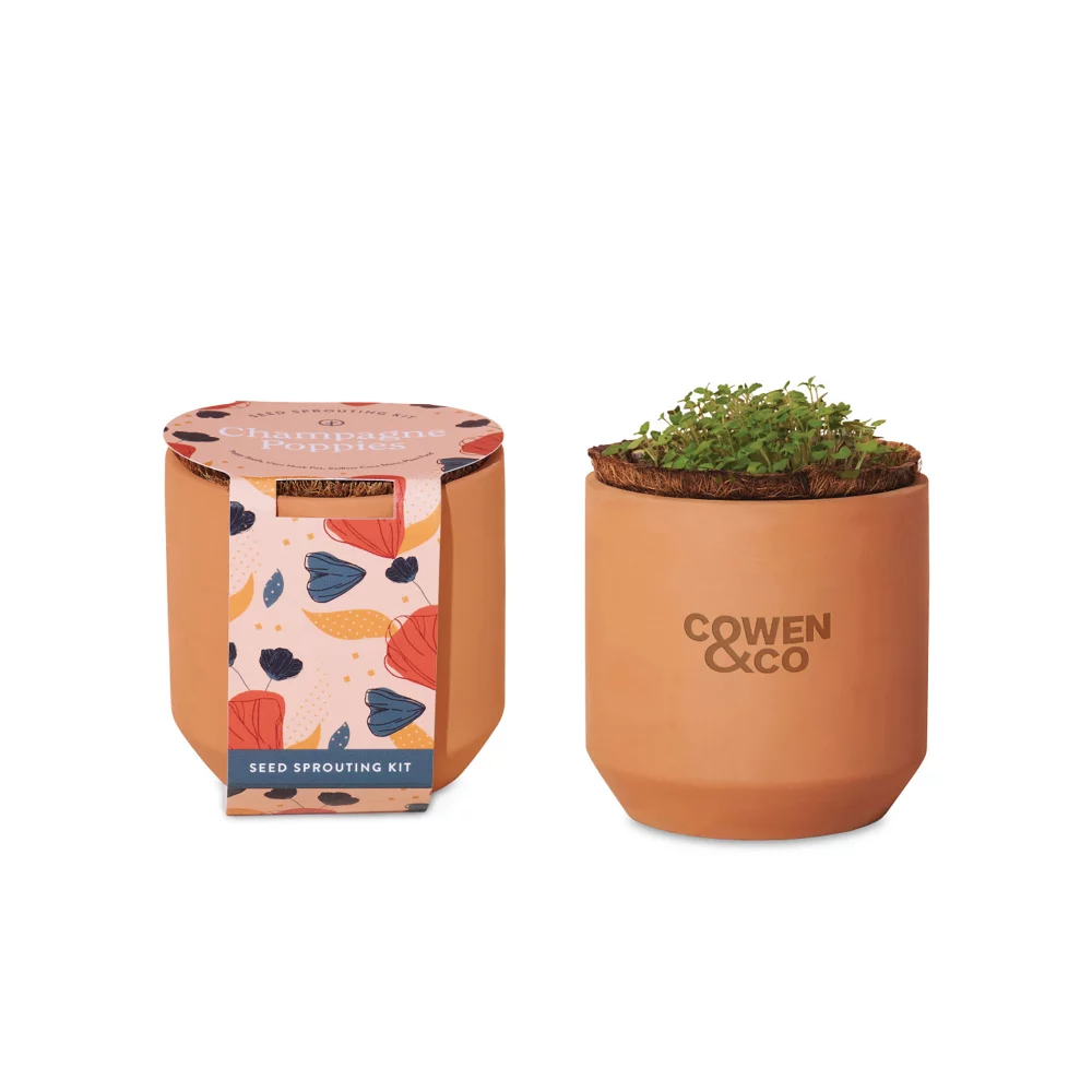 Kit de culture en terre cuite Tiny Terracotta Grow Kit Champagne Poppies de Modern Sprout® - Terre cuite