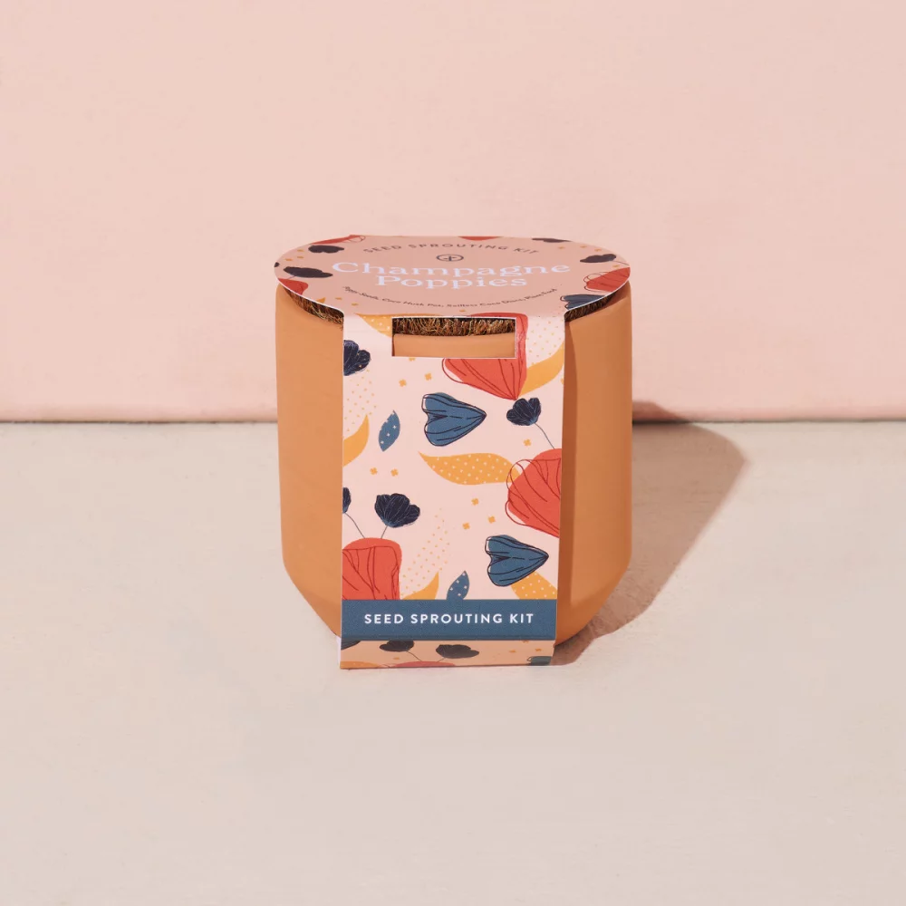 Kit de culture en terre cuite Tiny Terracotta Grow Kit Champagne Poppies de Modern Sprout® - Terre cuite