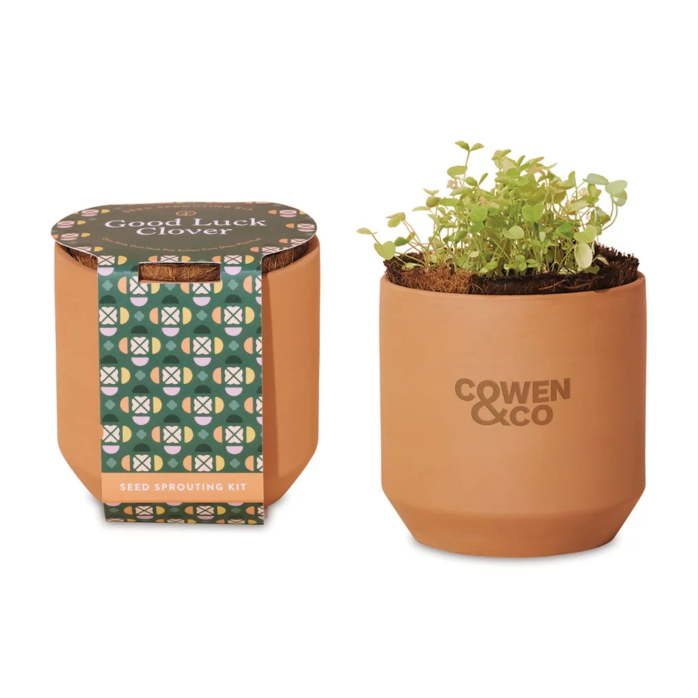 Kit de culture en terre cuite Modern Sprout® Tiny Terracotta Grow Kit Good Luck Clover - Terre cuite
