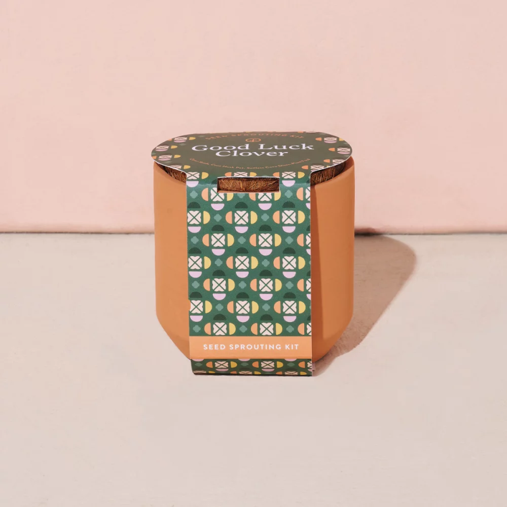 Modern Sprout® Tiny Terracotta Grow Kit Good Luck Clover - Terracotta