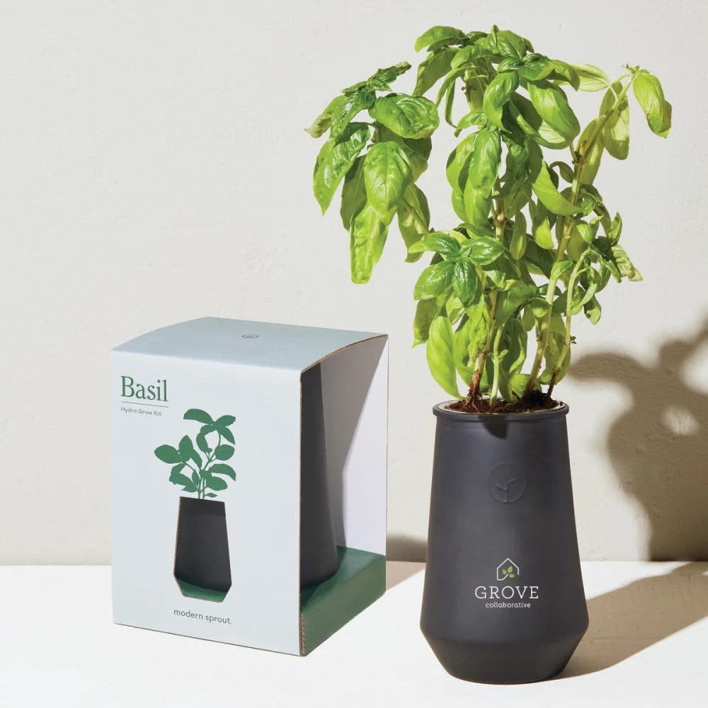 Modern Sprout Tapered Tumbler Grow Kit - Black-Basil