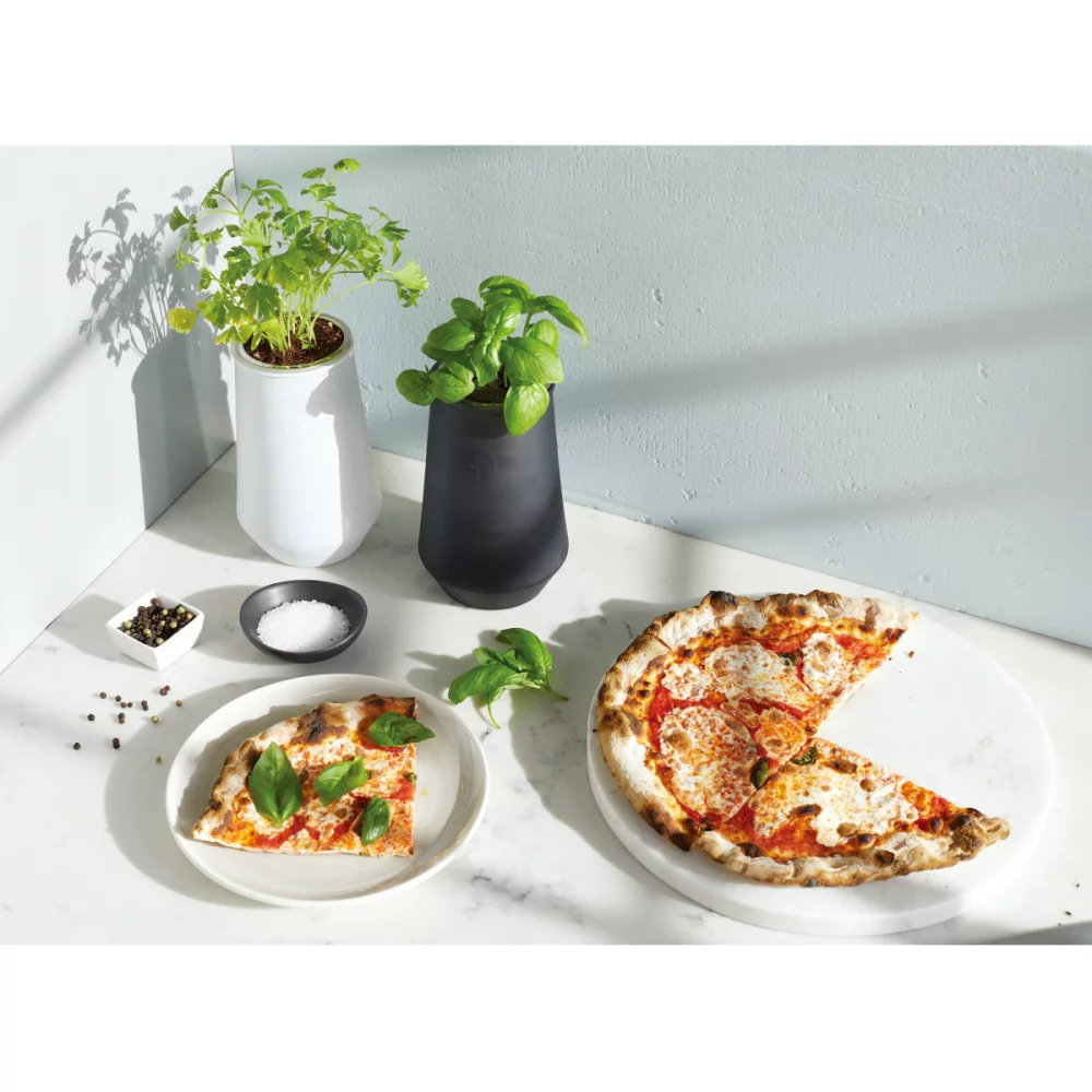 Modern Sprout Tapered Tumbler Grow Kit - White-Mint