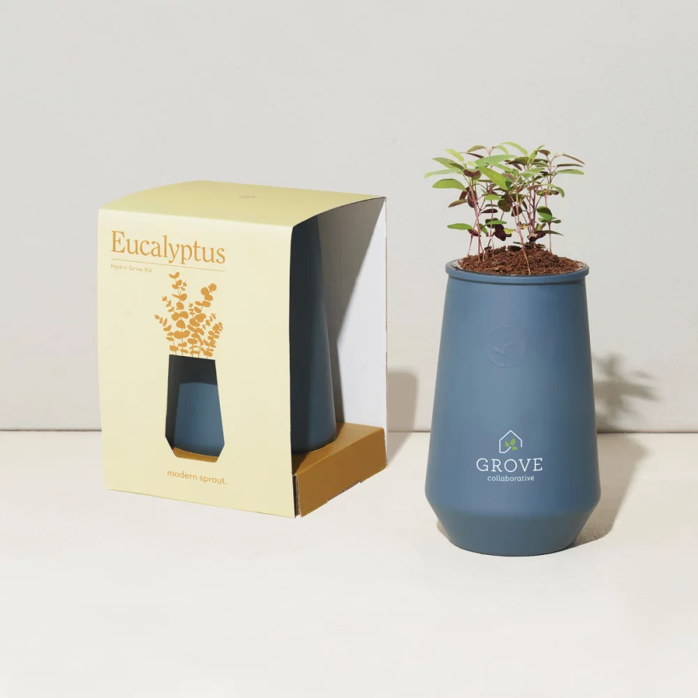 Modern Sprout Tapered Tumbler Grow Kit - Blue Agave-Eucalyptus