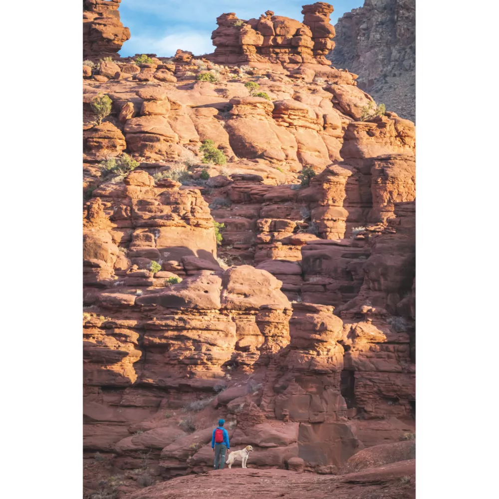 Osprey Daylite® - Cosmic Red