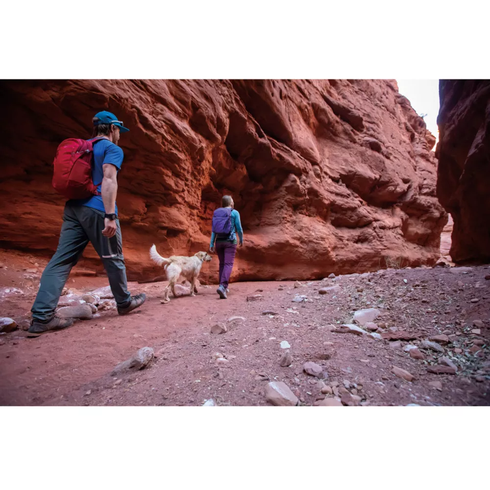 Osprey Daylite® - Cosmic Red