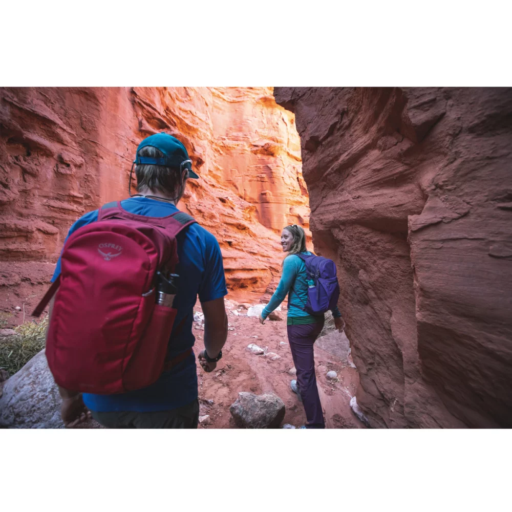 Osprey Daylite® - Cosmic Red