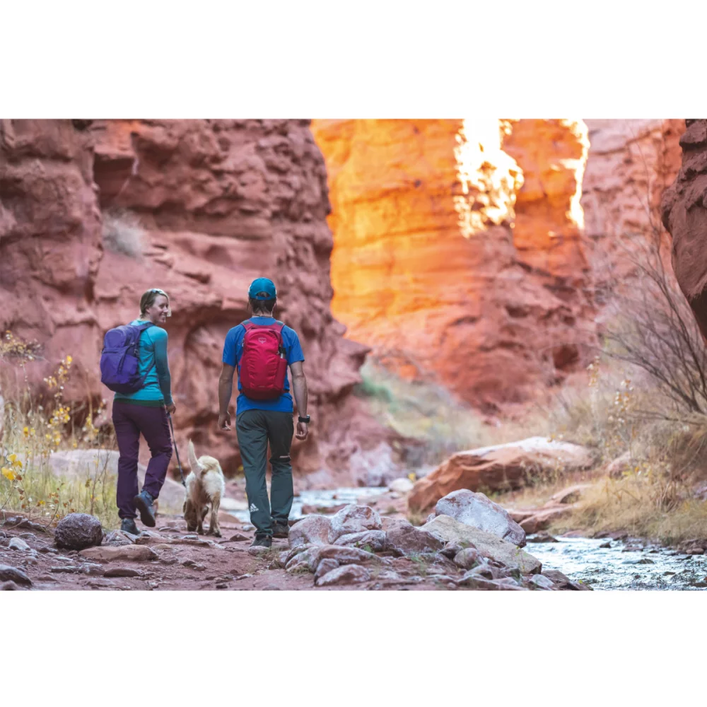 Osprey Daylite® - Cosmic Red