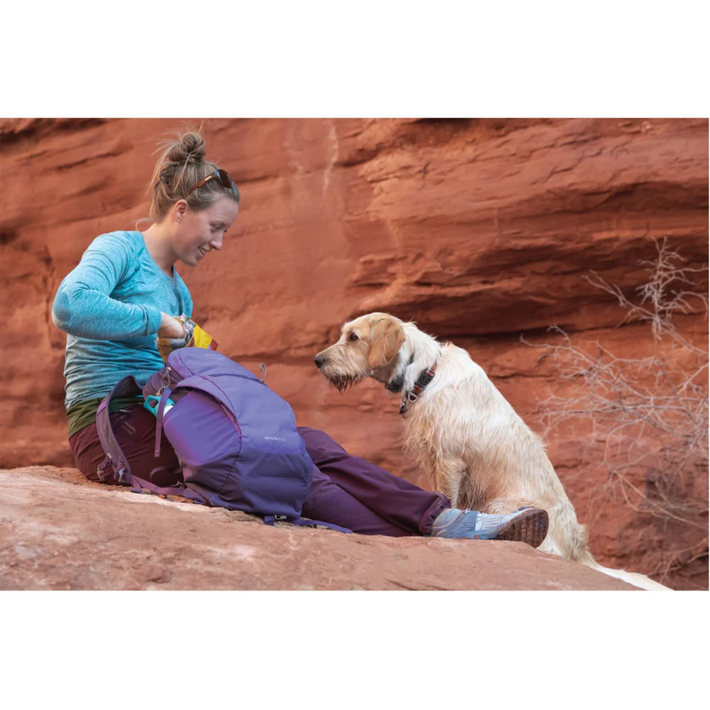 Osprey Daylite® Plus - Violet Rêve