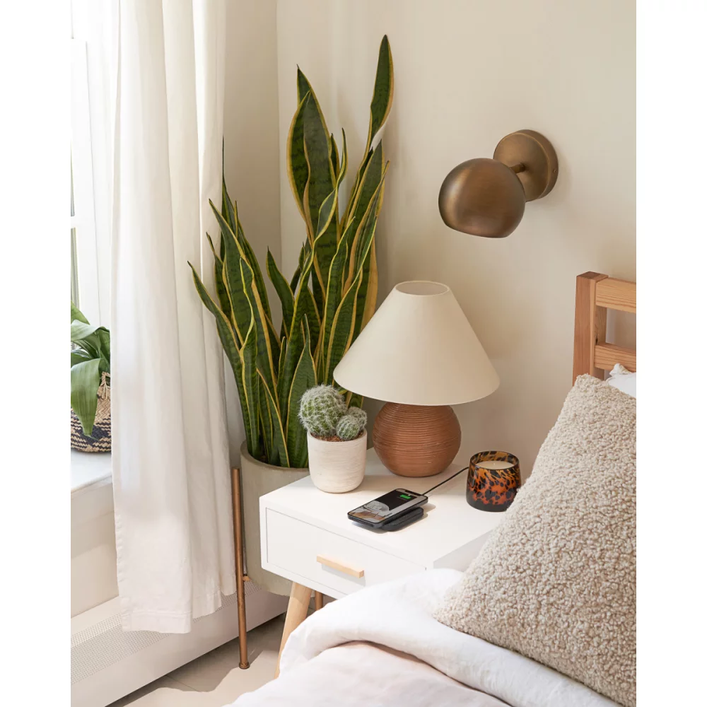 Essentiel Courant Attraper: 1 - Charbon de bois