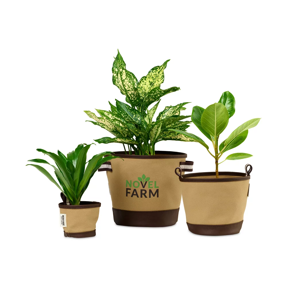Heritage Supply™ Trio de pots Plant, Grow and Store - Dune