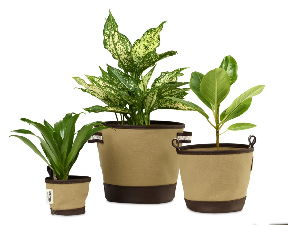 Heritage Supply™ Trio de pots Plant, Grow and Store - Dune