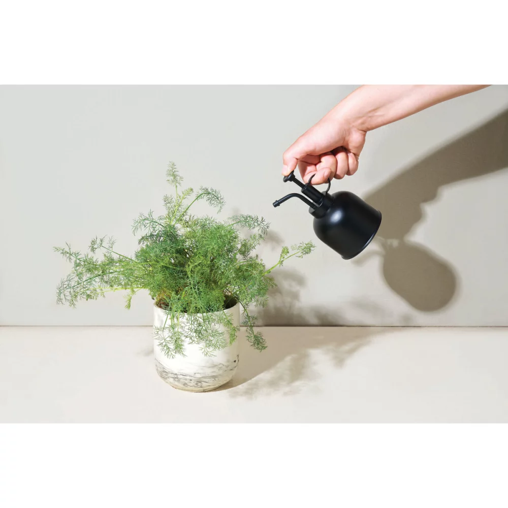 Pulvérisateur pour plantes Modern Sprout® Plant Parent - Noir mat