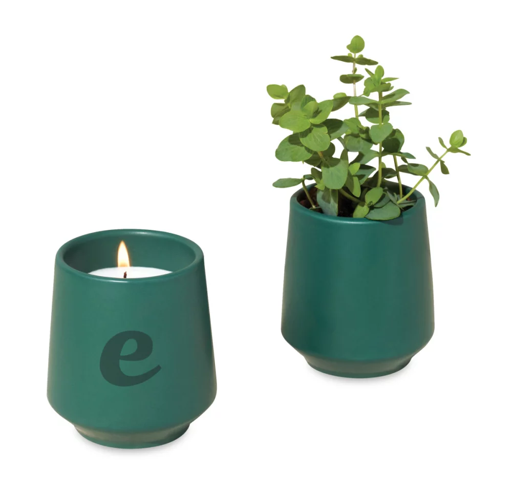 Bougie enracinée Modern Sprout® - Thym bleu foncé