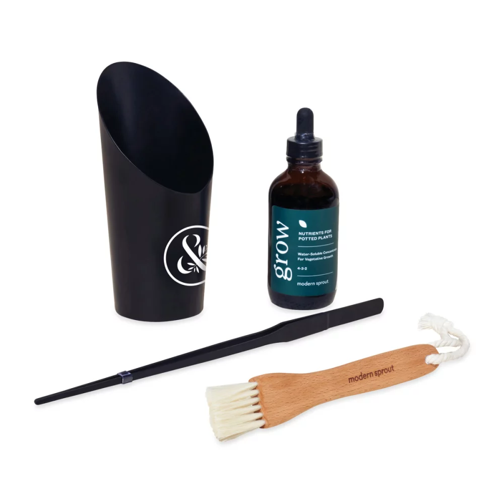 Ensemble de soins pour les plantes Modern Sprout® Plant Parent - Noir