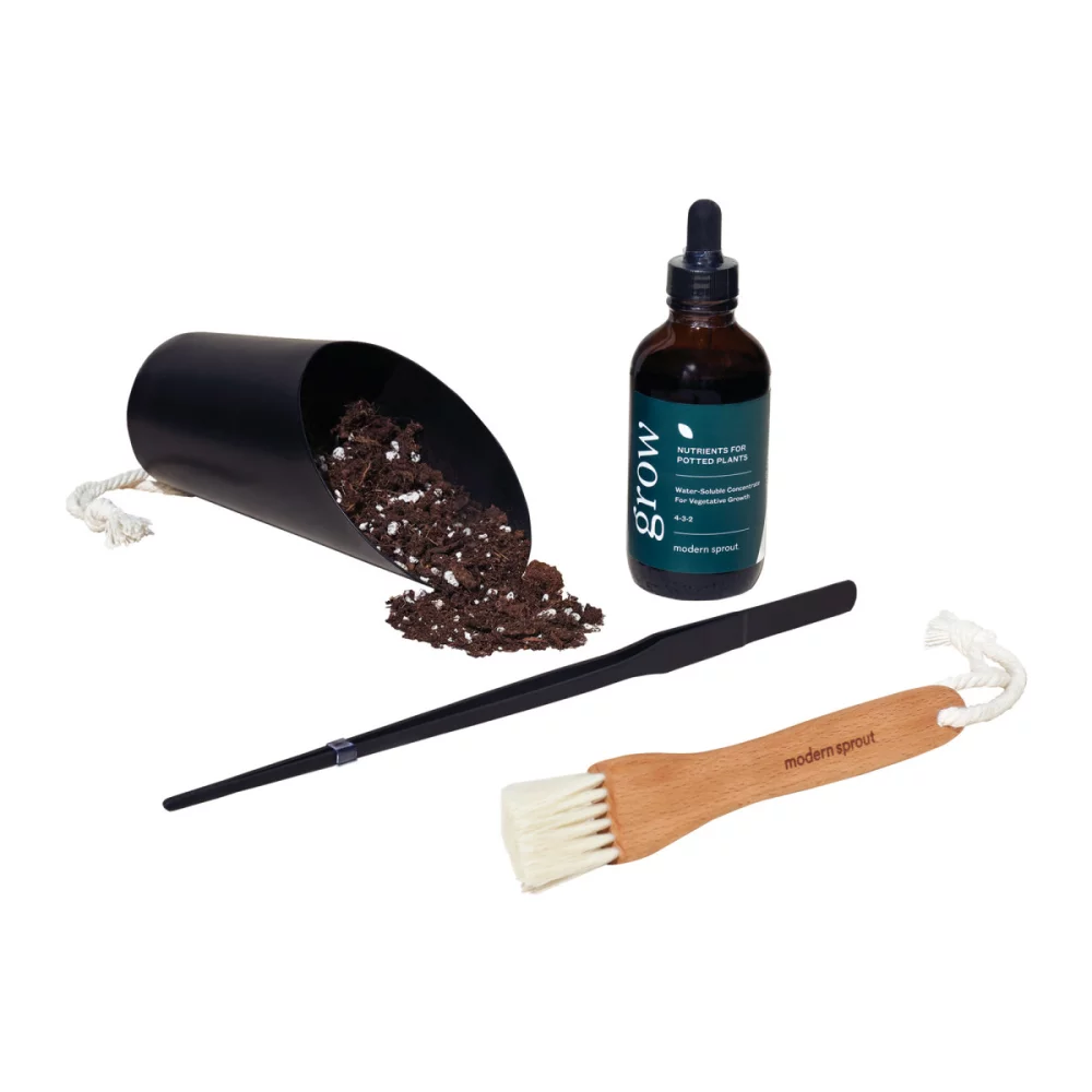 Modern Sprout® Plant Parent Care Kit - Black
