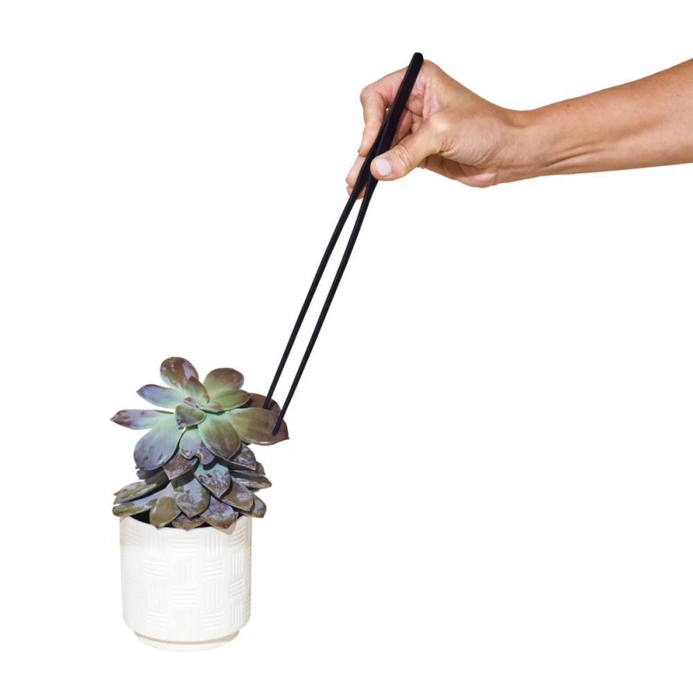 Ensemble de soins pour les plantes Modern Sprout® Plant Parent - Noir