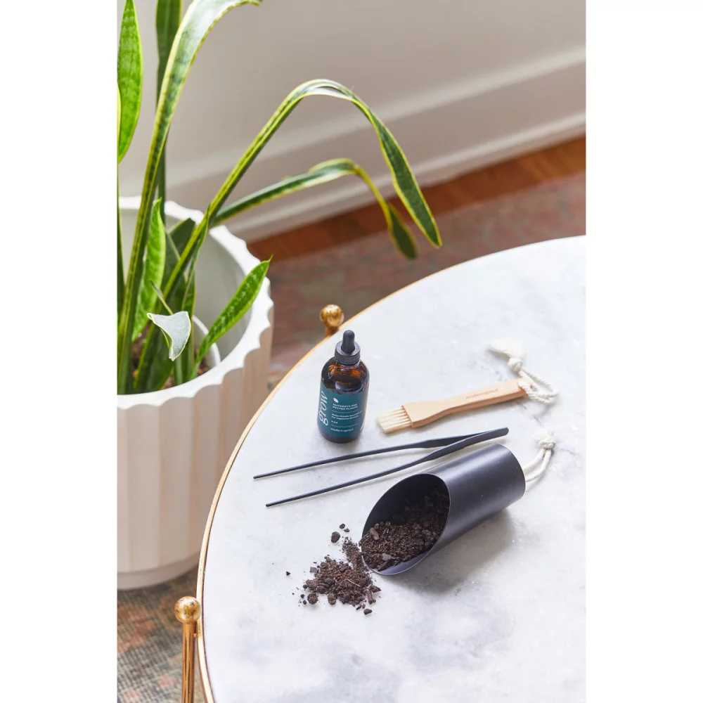 Ensemble de soins pour les plantes Modern Sprout® Plant Parent - Noir