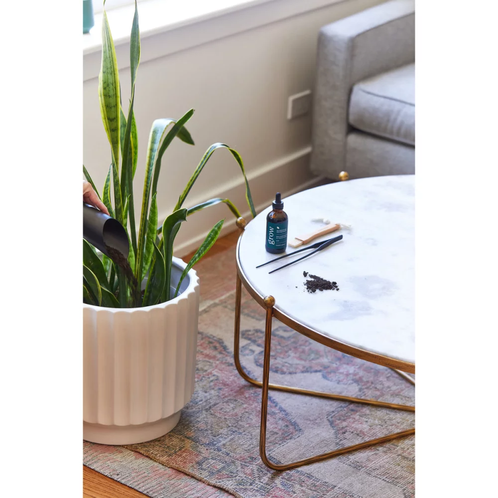 Ensemble de soins pour les plantes Modern Sprout® Plant Parent - Noir