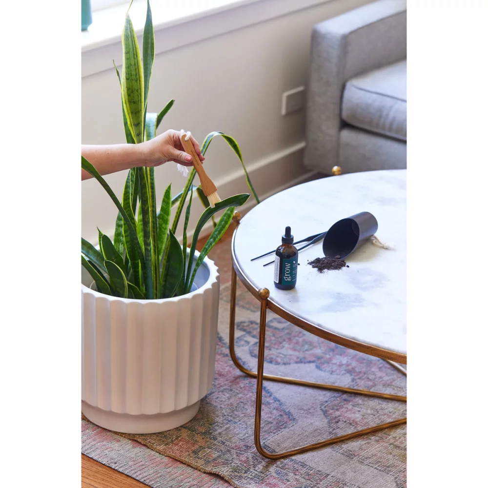 Modern Sprout® Plant Parent Care Kit - Black