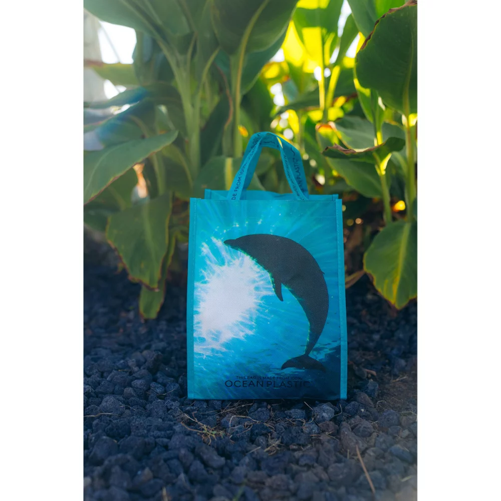 Out of the Ocean® Reusable Lunch Shopper - Seafoam