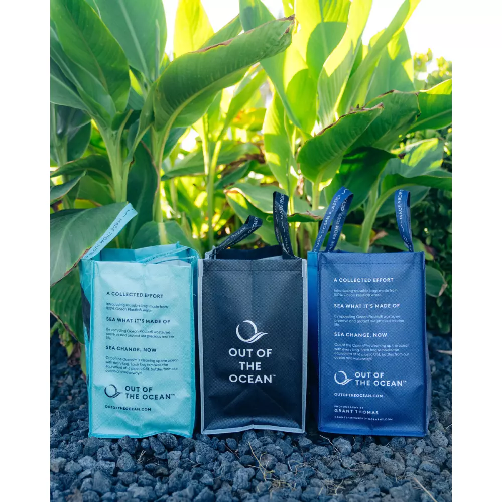 Out of the Ocean® Reusable Lunch Shopper - Seafoam