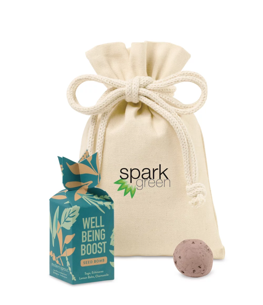 Modern Sprout® Encouragement Seed Bomb - Well Being Boost