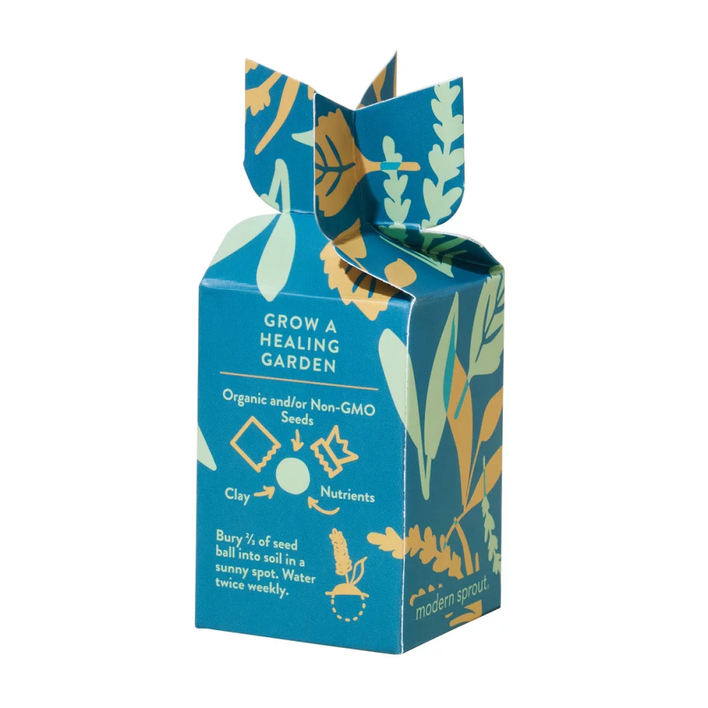 Modern Sprout® Encouragement Seed Bomb - Well Being Boost