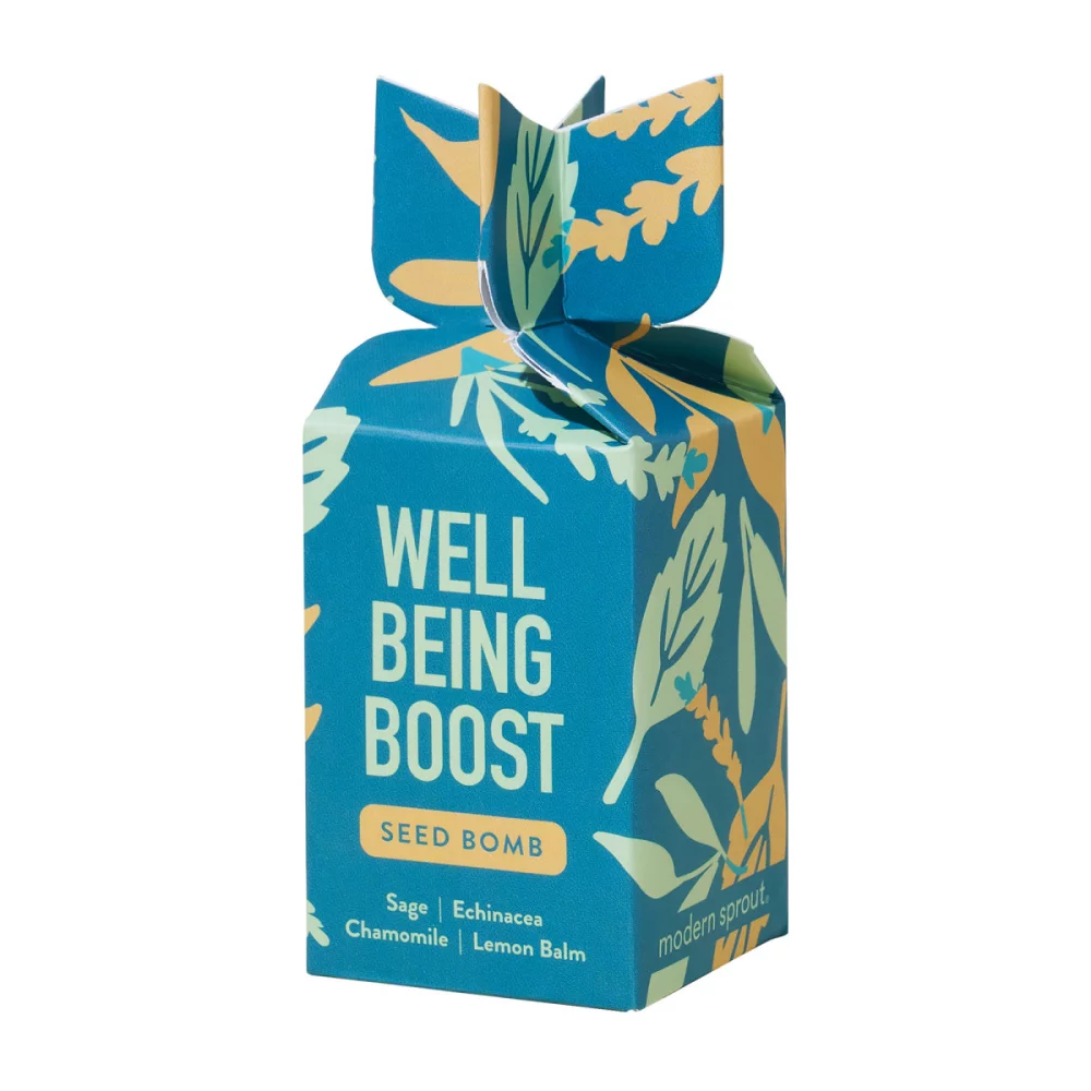 Modern Sprout® Encouragement Seed Bomb - Well Being Boost