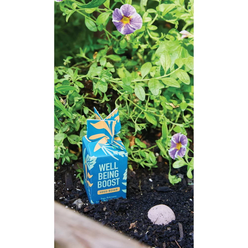 Modern Sprout® Encouragement Seed Bomb - Well Being Boost