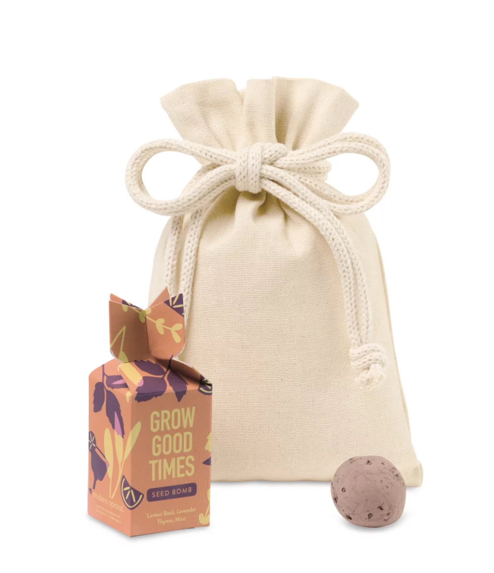 Modern Sprout® Encouragement Seed Bomb - Grow Good Times