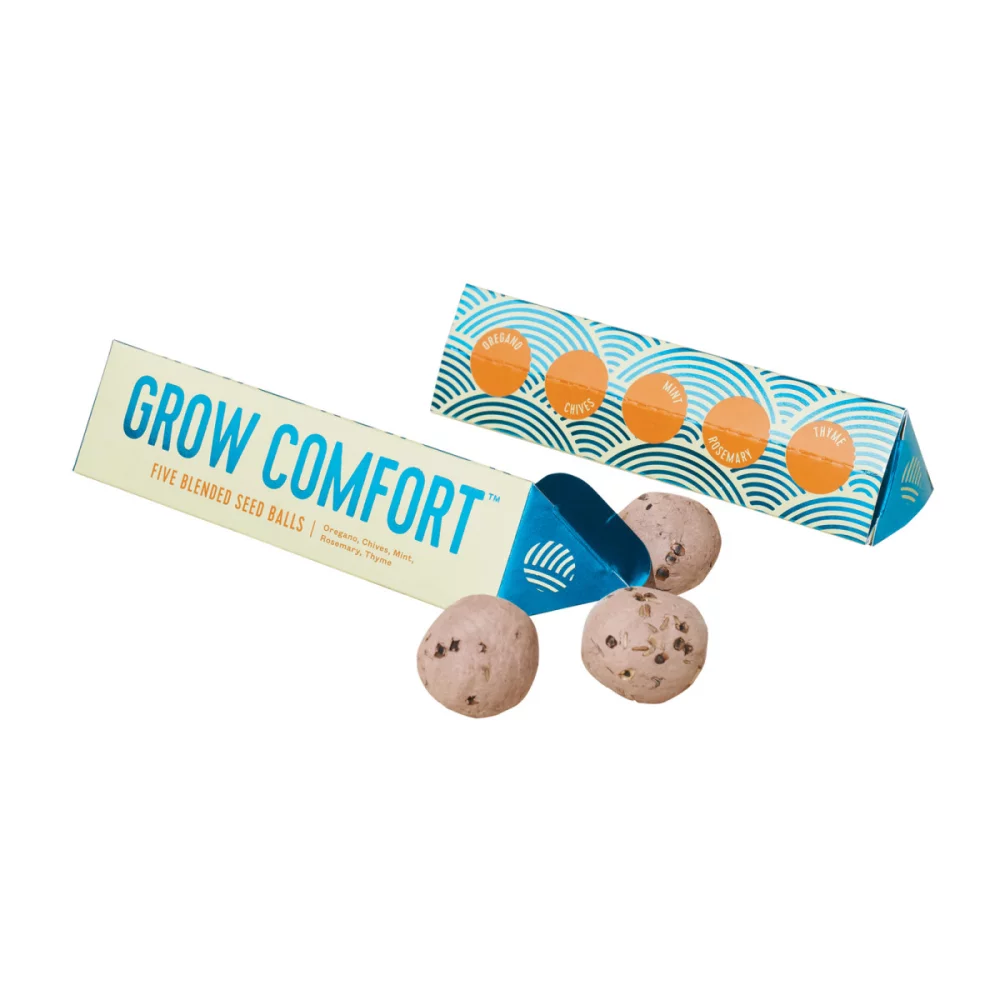 Boules de graines Modern Sprout® Bright Side - Cultivez le confort