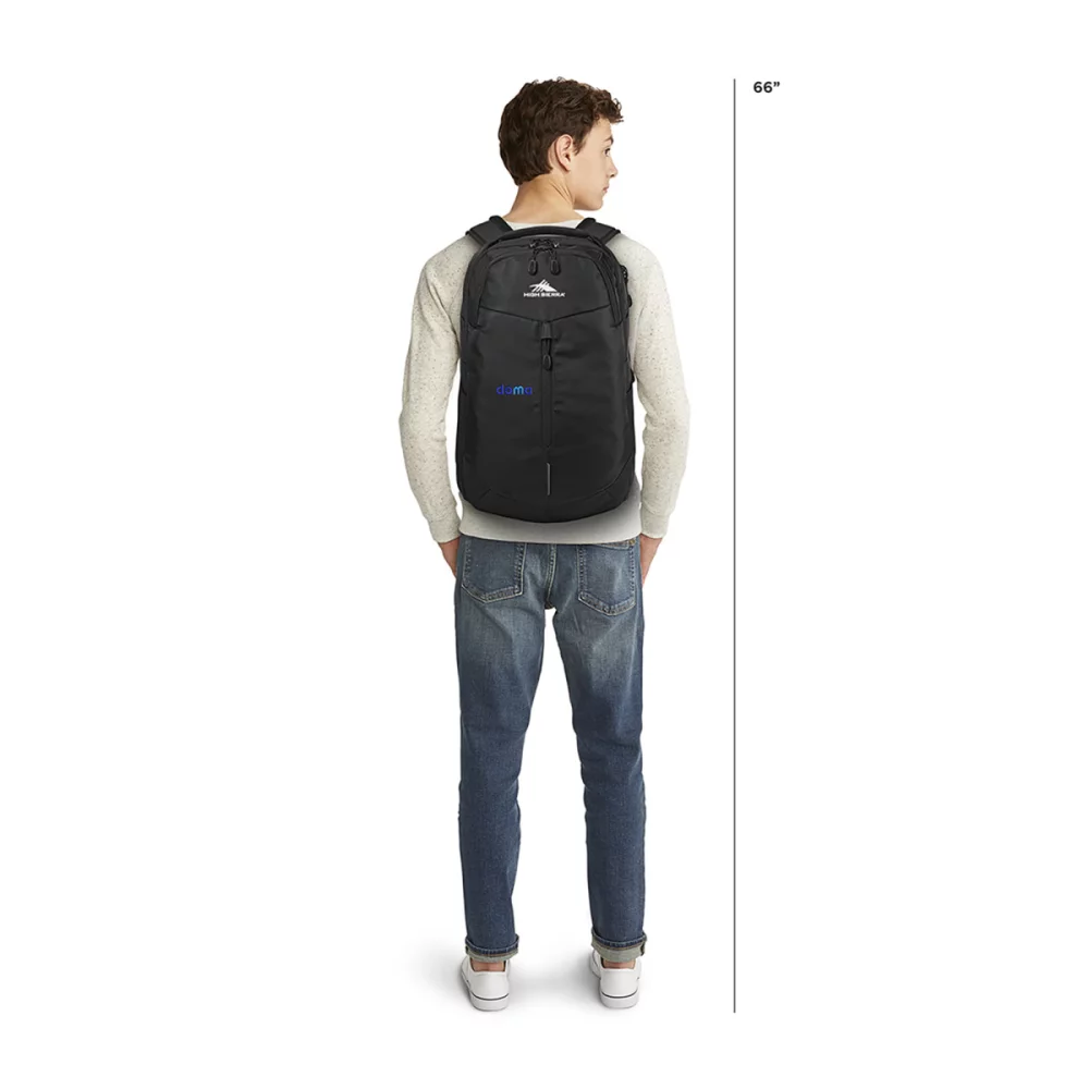High Sierra® Swerve Pro Laptop Backpack - Black