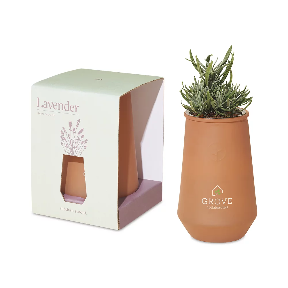 Kit de culture en verre effilé Modern Sprout - Sahara-Lavande